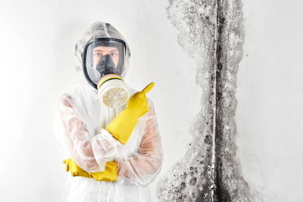 Best Water damage restoration mold remediation  in Fort Thomas, KY